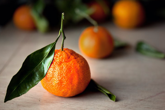 Story of Tangerine Dream