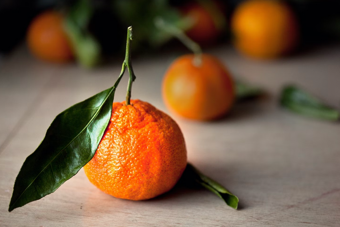 Story of Tangerine Dream